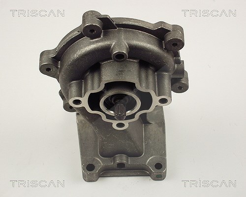 Triscan Wasserpumpe [Hersteller-Nr. 860016019] für Jaguar, Ford