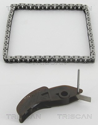 Triscan Steuerkettensatz [Hersteller-Nr. 865010010] für Ford