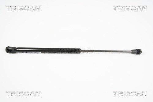 Triscan Gasfeder, Koffer-/Laderaum [Hersteller-Nr. 871025235] für Renault
