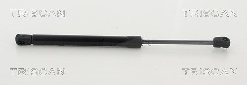 Triscan Gasfeder, Motorhaube [Hersteller-Nr. 871043104] für Hyundai
