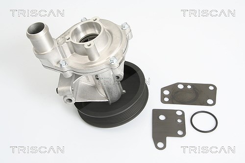 Triscan Wasserpumpe [Hersteller-Nr. 860016022] für Ford, Land Rover