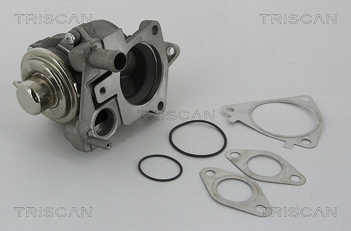Triscan AGR-Ventil [Hersteller-Nr. 881328019] für Iveco, Citroën, Fiat, Peugeot