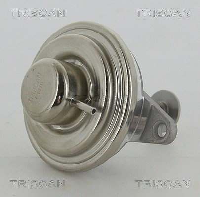 Triscan AGR-Ventil [Hersteller-Nr. 881324054] für Vauxhall, Opel, Saab