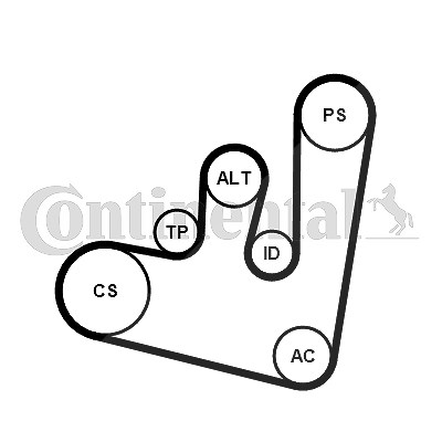 Continental Ctam Keilrippenriemensatz [Hersteller-Nr. 6PK1660K2] für VW, Audi, Skoda, Seat