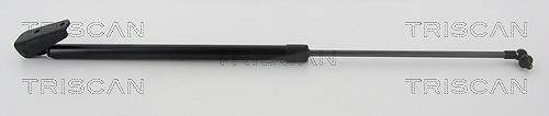 Triscan Gasfeder, Koffer-/Laderaum [Hersteller-Nr. 871068219] für Subaru