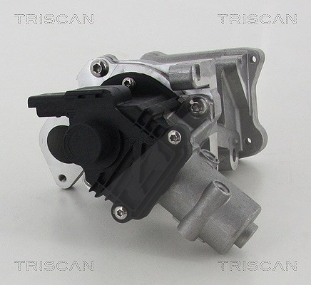 Triscan AGR-Ventil [Hersteller-Nr. 881310007] für Peugeot, Citroën, Ford, Land Rover