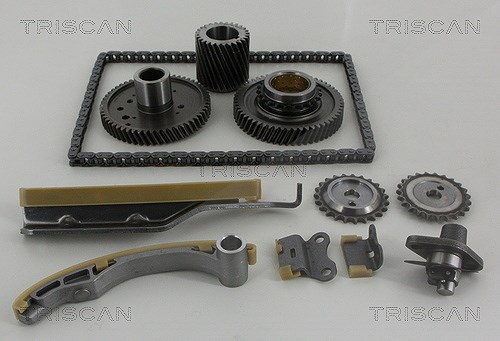 Triscan Steuerkettensatz [Hersteller-Nr. 865042001] für Mitsubishi