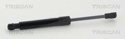Triscan Gasfeder, Koffer-/Laderaum [Hersteller-Nr. 8710292040] für Audi