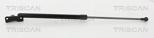 Triscan Gasfeder, Koffer-/Laderaum [Hersteller-Nr. 871068227] für Subaru