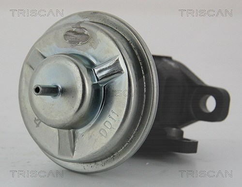 Triscan AGR-Ventil [Hersteller-Nr. 881343003] für Hyundai, Kia