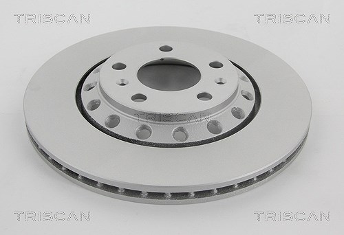 Triscan 1x Bremsscheibe Hinterachse Belüftet [Hersteller-Nr. 812029191C] für Audi, VW