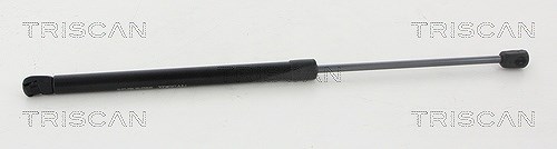 Triscan Gasfeder, Koffer-/Laderaum [Hersteller-Nr. 871011247] für Mini