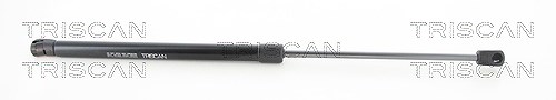 Triscan Gasfeder, Koffer-/Laderaum [Hersteller-Nr. 871014252] für Nissan, VW