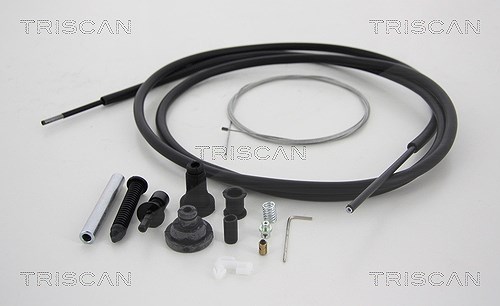 Triscan Gaszug [Hersteller-Nr. 814010315] für Citroën