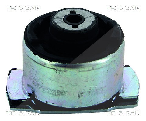 Triscan Lagerung, Achskörper [Hersteller-Nr. 850025821] für Renault