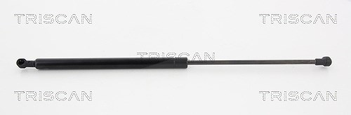 Triscan Gasfeder, Koffer-/Laderaum [Hersteller-Nr. 871025261] für Renault
