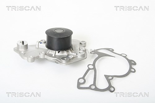 Triscan Wasserpumpe [Hersteller-Nr. 860043007] für Kia, Hyundai