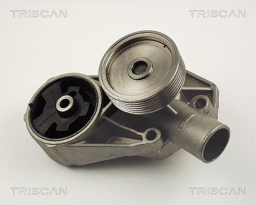 Triscan Wasserpumpe [Hersteller-Nr. 860067002] für Skoda
