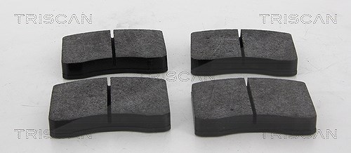 Triscan Bremsbelagsatz, Scheibenbremse [Hersteller-Nr. 811023067] für Mercedes-Benz