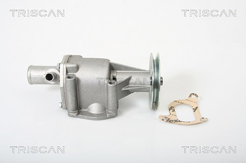 Triscan Wasserpumpe [Hersteller-Nr. 860015969] für Fiat