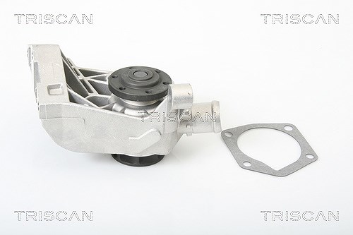 Triscan Wasserpumpe [Hersteller-Nr. 860029036] für Skoda
