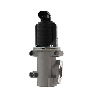 Magneti Marelli AGR-Ventil [Hersteller-Nr. 571822112006] für Fiat, Lancia