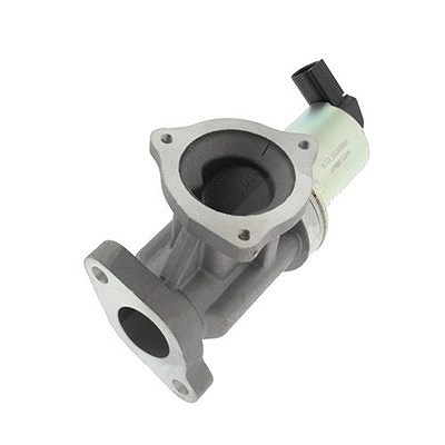 Magneti Marelli AGR-Ventil [Hersteller-Nr. 571822112012] für Kia, Hyundai