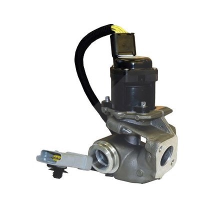 Magneti Marelli AGR-Ventil [Hersteller-Nr. 571822112031] für Ford, Volvo