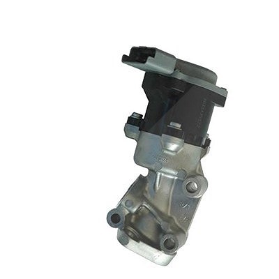 Magneti Marelli AGR-Ventil [Hersteller-Nr. 571822112035] für Land Rover, Peugeot, Citroën, Jaguar