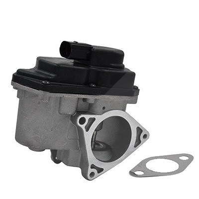 Magneti Marelli AGR-Ventil [Hersteller-Nr. 571822112042] für Seat, Skoda, Audi, VW