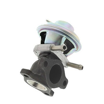 Magneti Marelli AGR-Ventil [Hersteller-Nr. 571822112064] für Fiat