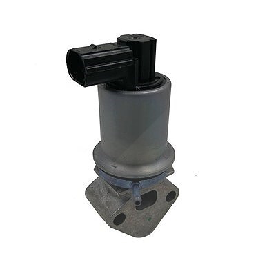Magneti Marelli AGR-Ventil [Hersteller-Nr. 571822112071] für Seat, VW, Audi