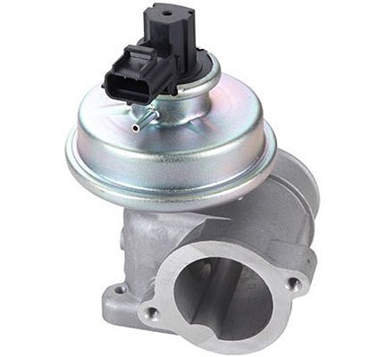 Magneti Marelli AGR-Ventil [Hersteller-Nr. 571822112109] für Jaguar, Ford