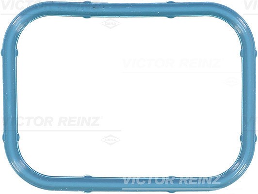 Victor Reinz Dichtung, Ansaugkrümmer [Hersteller-Nr. 71-10434-00] für Jeep, Chrysler, Dodge