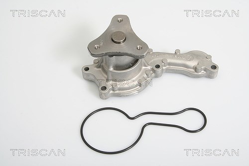 Triscan Wasserpumpe [Hersteller-Nr. 860040012] für Honda
