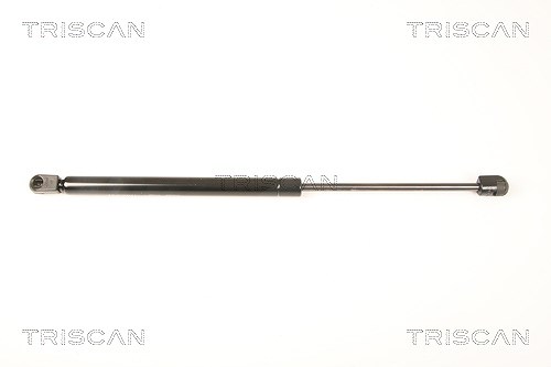 Triscan Gasfeder, Heckscheibe [Hersteller-Nr. 871043233] für Hyundai