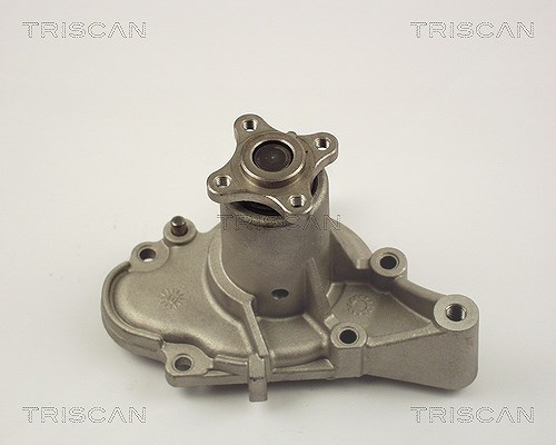 Triscan Wasserpumpe [Hersteller-Nr. 860043002] für Hyundai
