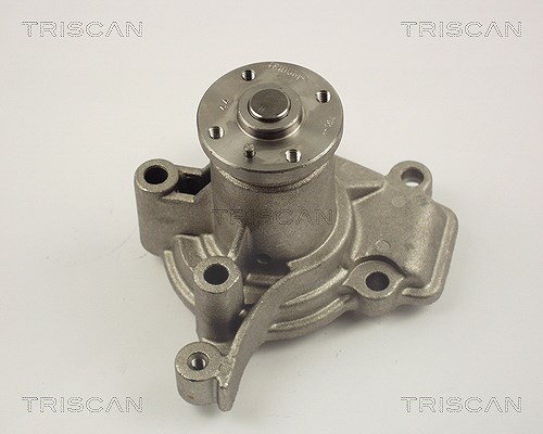 Triscan Wasserpumpe [Hersteller-Nr. 860043004] für Hyundai