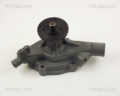 Triscan Wasserpumpe [Hersteller-Nr. 860041008] für Daihatsu