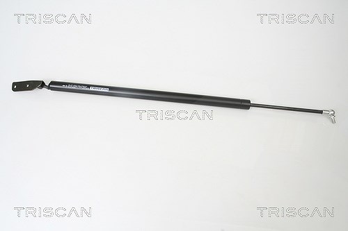 Triscan Gasfeder, Koffer-/Laderaum [Hersteller-Nr. 871042230] für Mitsubishi