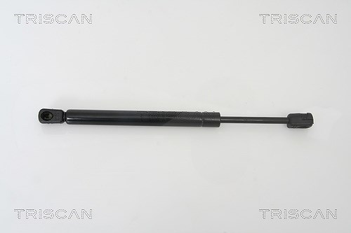 Triscan Gasfeder, Koffer-/Laderaum [Hersteller-Nr. 871029260] für Seat, Audi