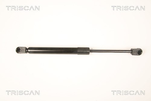 Triscan Gasfeder, Koffer-/Laderaum [Hersteller-Nr. 871029290] für Audi