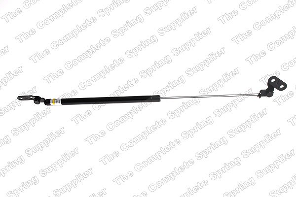 Lesjöfors Gasfeder, Koffer-/Laderaum [Hersteller-Nr. 8162002] für Nissan