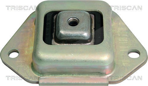 Triscan Lagerbock, Achskörper [Hersteller-Nr. 850038519] für Citroën