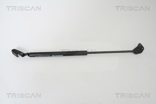 Triscan Gasfeder, Koffer-/Laderaum [Hersteller-Nr. 871043222] für Hyundai