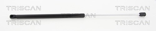 Triscan Gasfeder, Koffer-/Laderaum [Hersteller-Nr. 871025259] für Renault