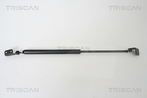 Triscan Gasfeder, Koffer-/Laderaum [Hersteller-Nr. 871043221] für Hyundai