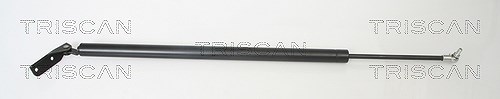 Triscan Gasfeder, Koffer-/Laderaum [Hersteller-Nr. 871042229] für Mitsubishi