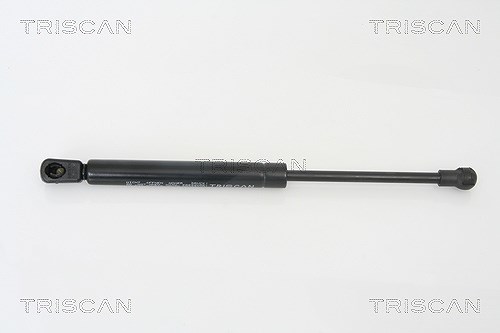 Triscan Gasfeder, Koffer-/Laderaum [Hersteller-Nr. 871029265] für Seat