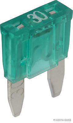 Herth+buss Elparts Sicherung [Hersteller-Nr. 50295681066]